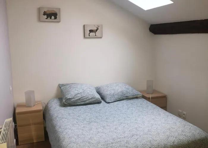Superbe Appartement T3 Duplex, Ax Les Thermes
